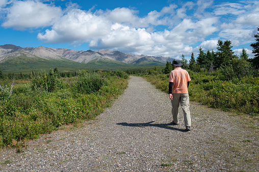 Man walking at Denali National Park and Preserve. Alaska. USA.