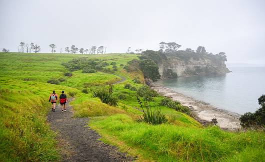 Two women hiking the Long Bay coastal Okura Track in the rain. Auckland.
