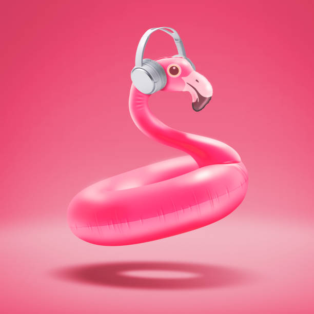 Pink flamingo isolated on white background