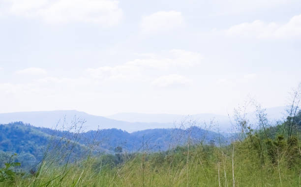 Mountain Summer Green Park Field Scenery Forest Spring Meadow with Blue Sky, Countryside in Thailand Hills Nature Landscape Upper for tourism Travel Vacation Holidays or Eco System Environment.