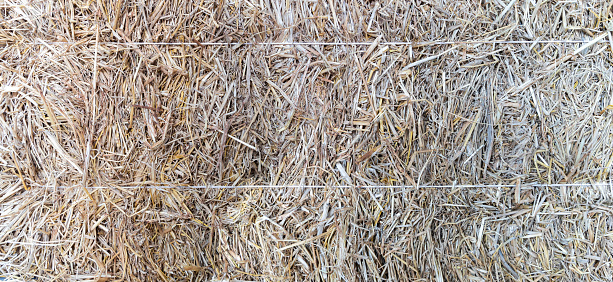 Background portrait of haystack. Agriculture symbol, hay bale group. Dry haystack.