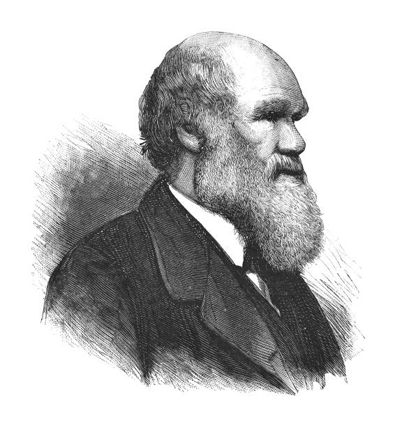 charles robert darwin - englischer naturforscher, geologe und biologe (geboren am 12. februar 1809 - gestorben am 19. april 1882) - charles darwin engraved image old fashioned etching stock-grafiken, -clipart, -cartoons und -symbole