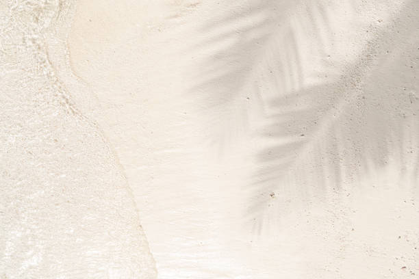 Palm leaf shadow on sand beach background with sun glitter on water surface