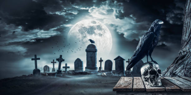 istock Creepy horror cemetery at night with crow on a skull 2065166091
