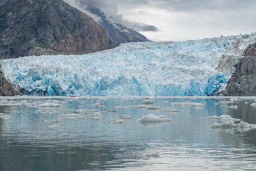 Ice floating in the sea in front of South Sawyer Glacier in the Tracey Arm Inlet, Alaska, USA
