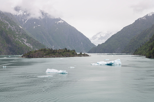 Gowlers (small icebergs) floating in the sea with South Sawyer Glacier in the distance, Tracy Arm Inlet, Alaska, USA