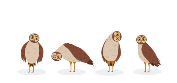 Vector illustration of Set of cute funny owl with tilted leaned head. Vector illustration of cartoon forest night birds.