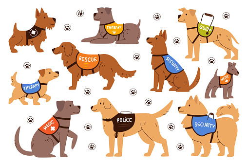 Trained security, medical, guide, therapy and rescuer service dogs assistants cartoon characters isolated set. Pedigreed pet animal for first aid, emergency help and treatment vector illustration