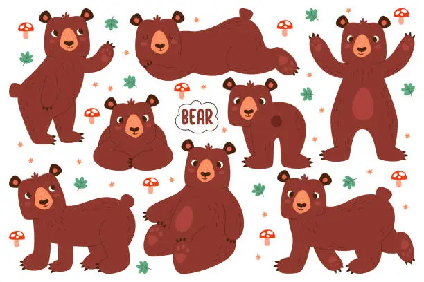 Vector illustration of Cute bear forest wild animal cartoon characters standing and sitting in funny poses isolated set