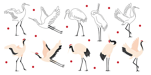Beautiful japanese cranes and birds graphic black-and-white storks in different poses isolated set vector illustration. Oriental drawing graphic symbol, asian traditional decorative print element