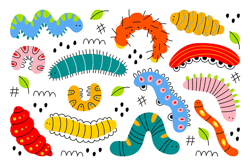 Funny colorful cartoon caterpillars insects, cute crawling bug characters isolated set on white background. Kawaii baby worm different silhouettes with various shapes and forms vector illustration