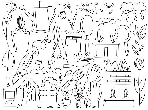 Gardening tools, faming equipments, soil sack, growing horticulture plants and flowers coloring line graphic set. Craft instruments for natural ecological products caring vector illustration