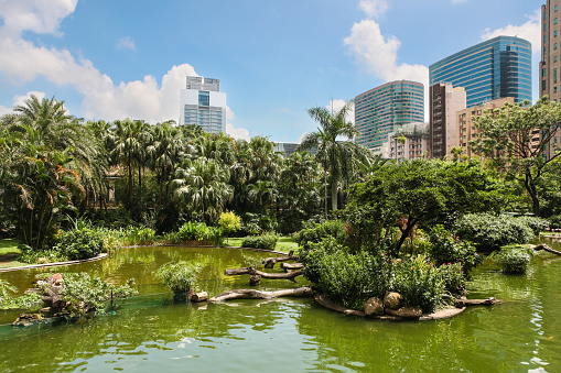 Botanic Garden of the city of Jundiai in Sao Paulo, Brazil. Aerial view