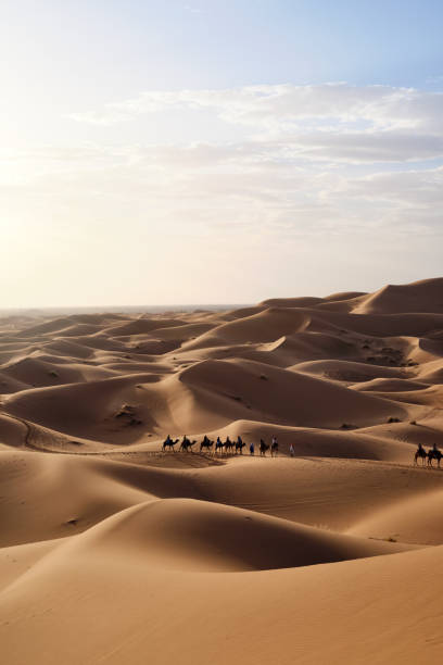 istock Sahara desert dunes in Merzouga, Morocco 2065262429