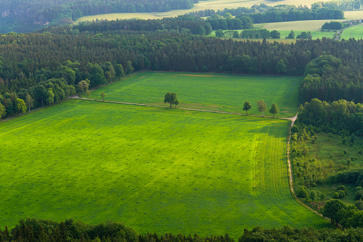 Amazing landscape of green fields and trees. Saxon Switzerland, Germany, Lilienstein