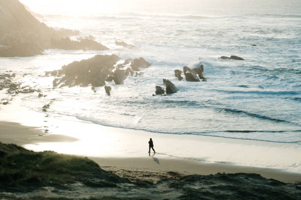 istock Silhouette of a person walking on a beach 2065283706