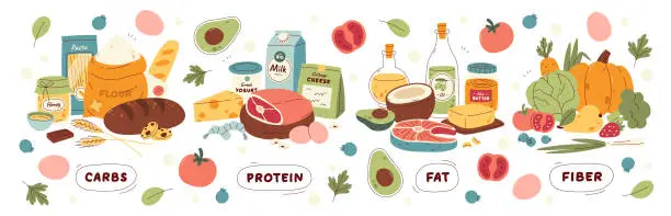 Vector illustration of Natural organic healthy food groups containing fiber, fat, protein, crabs vector illustration