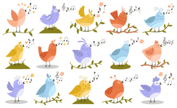귀여운 작은 새 캐릭터 노래 봄 노래 나무 식물 가지 세트 벡터 일러스트 레이 션 - birdsong stock illustrations