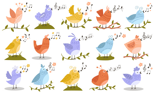 Cute little bird characters singing spring songs sitting on tree plant branch twig set vector illustration. Feathered colorful small birdie animals tweeting nature melody waving wings collection