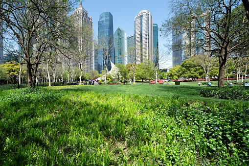 Shanghai, China - April 5th 2021: Scenic View Of Trees On Grassland and financial buildings in sunny day，people walking in the park
