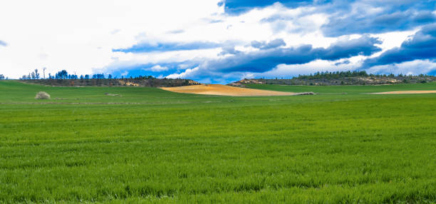 istock Agricultural Field, Spain 2065345301