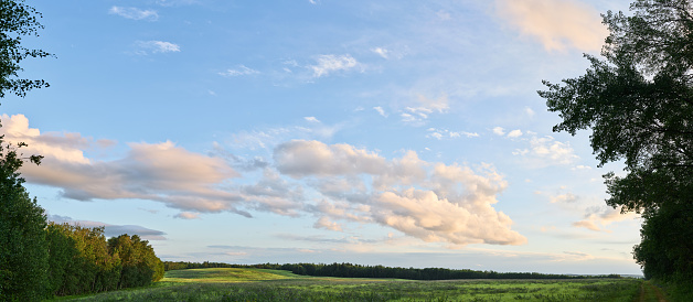 Scenic view of clouds over a green pasture surrounded by a forest on a late afternoon day in summer