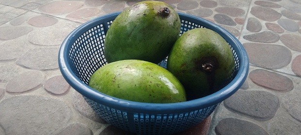 Kuini fruit (Mangifera odorata) has quite high antioxidant benefits