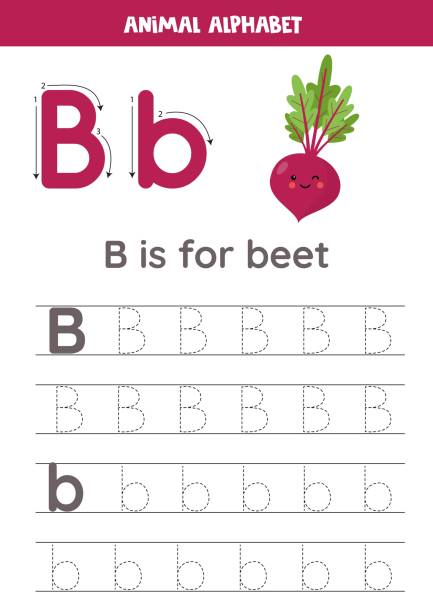 Tracing alphabet letters for kids. Fruit and vegetables alphabet. B is for beetroot. Fruit and vegetable alphabet writing for preschool kids. Letter B is for beet. common beet audio stock illustrations