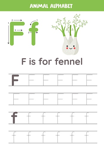 Fruit and vegetable alphabet writing for preschool kids. Letter F is for fennel.