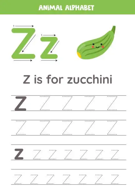 Vector illustration of Tracing alphabet letters for kids. Fruit and vegetables alphabet. Z is for zucchini.