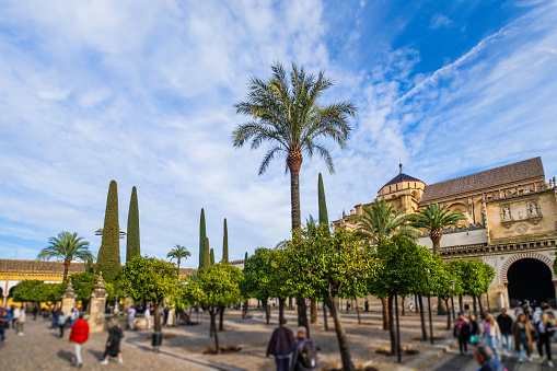 Orange trees, cypresses and palms in the Patio de los Naranjos, the historic courtyard of the mosque-cathedral of Cordoba, the main historic city landmark