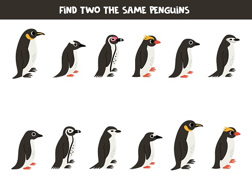 Find two the same cute penguins. Educational logical game for kids.