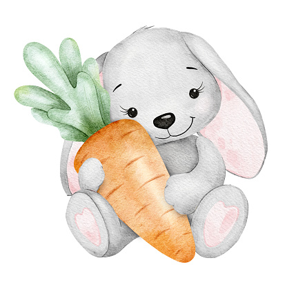 Cute bunny is holding a carrot. Hare hugs huge carrot. Easter Rabbit. Isolated watercolor illustration for children's goods, cards, posters, invitations, baby's textiles and scrapbooking.