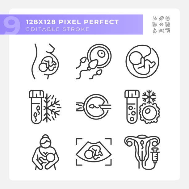 set ikon linier inseminasi buatan - oocyte cryopreservation foto ilustrasi stok
