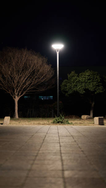 istock Illuminated sidewalk on the street 2065385160