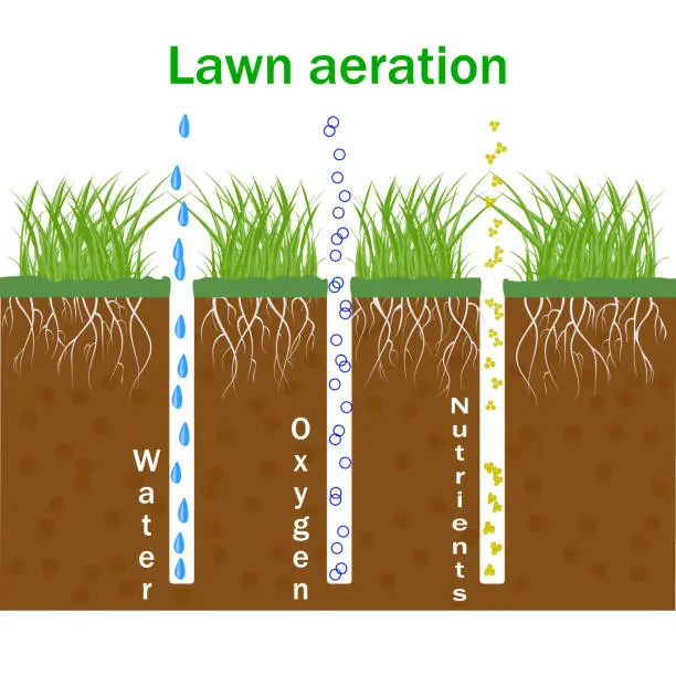 Vector illustration of Lawn aeration. Concept of garden grass lawncare, landscaping, lawn grass care. Lawn aeration infographics.