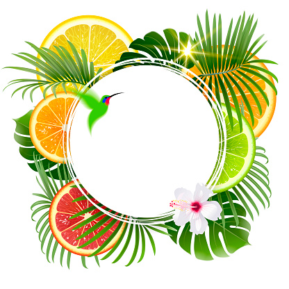 round banner on a background of tropical plants and fruits on a white background