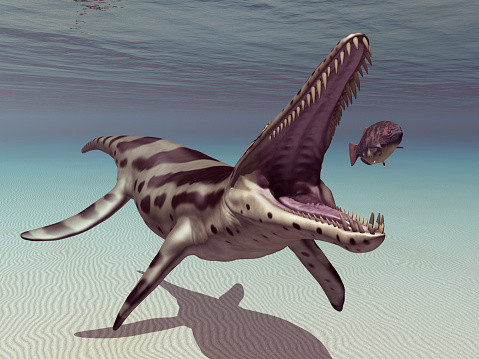 Computer generated 3D illustration with the extinct pliosaur Kronosaurus attacking the extinct fish Dapedius