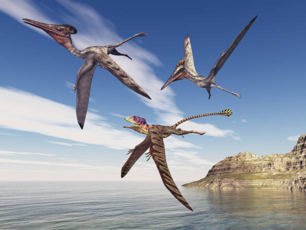 istock Pterosaur Pterodactylus and Peteinosaurus over the sea 2065404270