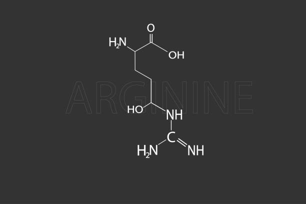 wzór chemiczny szkieletu molekularnego argininy - molecule amino acid arginine molecular structure stock illustrations