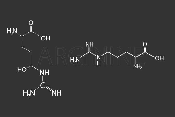 ilustrações de stock, clip art, desenhos animados e ícones de arginine molecular skeletal chemical formula - molecule amino acid arginine molecular structure