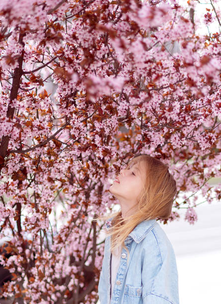 Young girl among beautiful cherry blossoms in full bloom