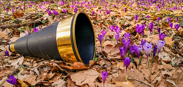 Metaphorical installation with a megaphone on the theme of spring