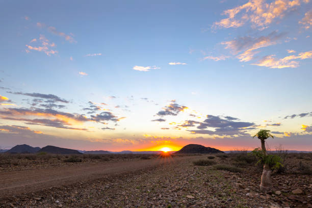 Sunset in Kalahari