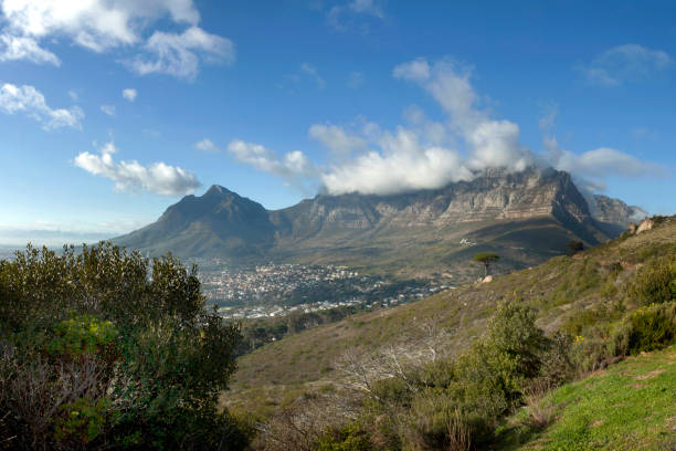 Table Mountain, Cape Town, South Africa stock photo