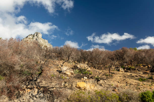 Clouds over Table Mountain stock photo