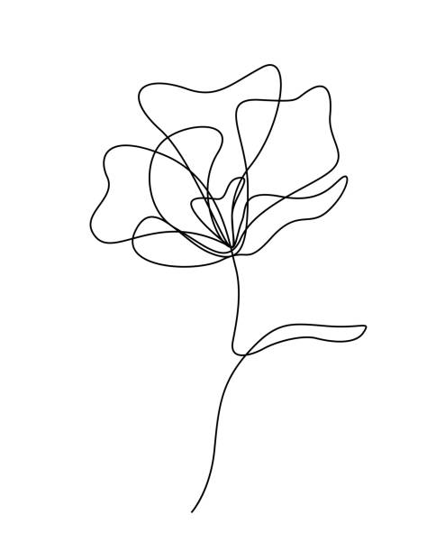 ilustrações, clipart, desenhos animados e ícones de desenho de flores mono linha. ícone de linha contínua no fundo branco. - sweet magnolia florida flower magnolia