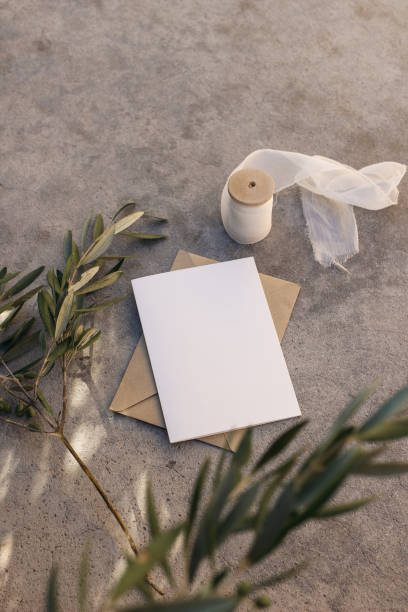istock Mediterranean wedding greeting card mock-up. Blank invitation card, envelope on grunge concrete floor background, sunlight. Silk ribbon. Blurred olive tree branches. Summer holiday. Flatlay, top view 2065522207