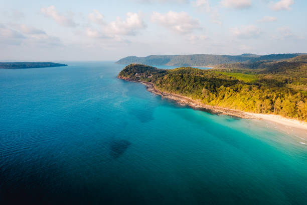 istock Tropical island and palm trees, bird's-eye view 2065553580