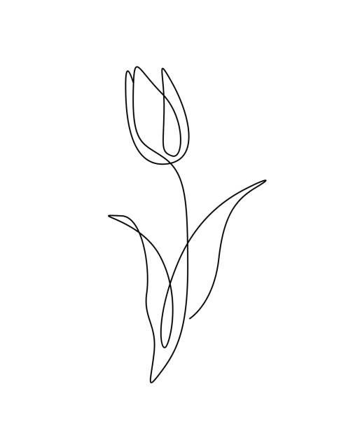 illustrazioni stock, clip art, cartoni animati e icone di tendenza di disegno floreale mono linea. icona a linea continua su sfondo bianco. - sweet magnolia magnolia flowers plants